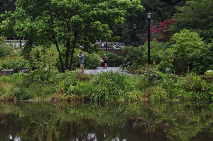 botanic garden