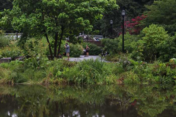 botanic garden