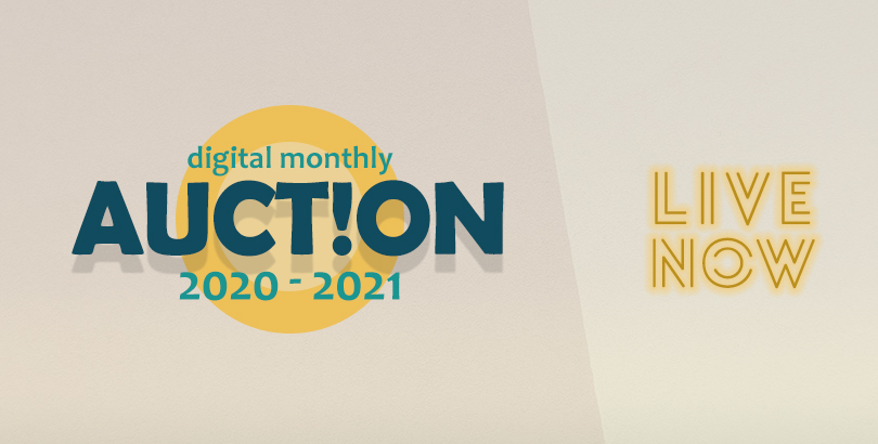 Auction Eblast