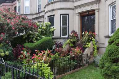 flatbush-brooklyn-east-25th-street-historic-district-2020-sept-sdevries-13