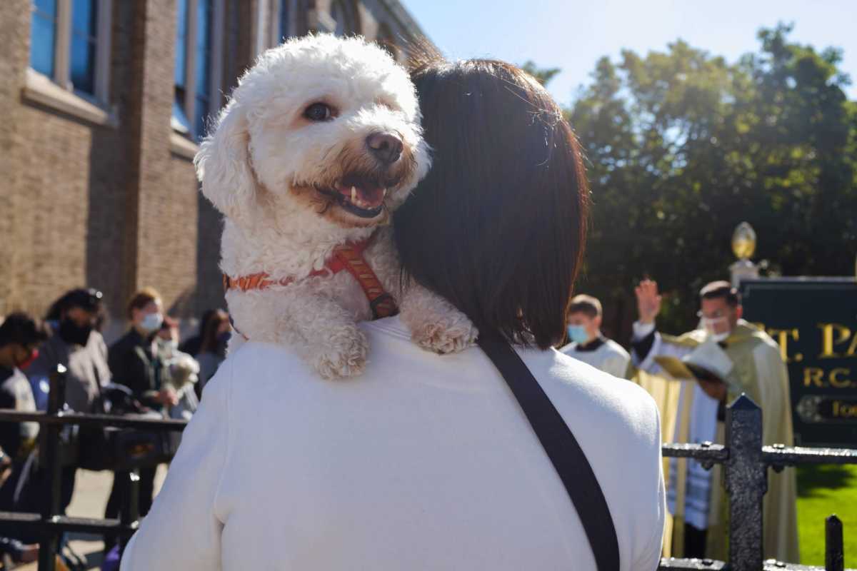 10042020_Frangipane_Blessing_of_the_Animals056