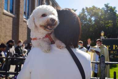 10042020_Frangipane_Blessing_of_the_Animals056