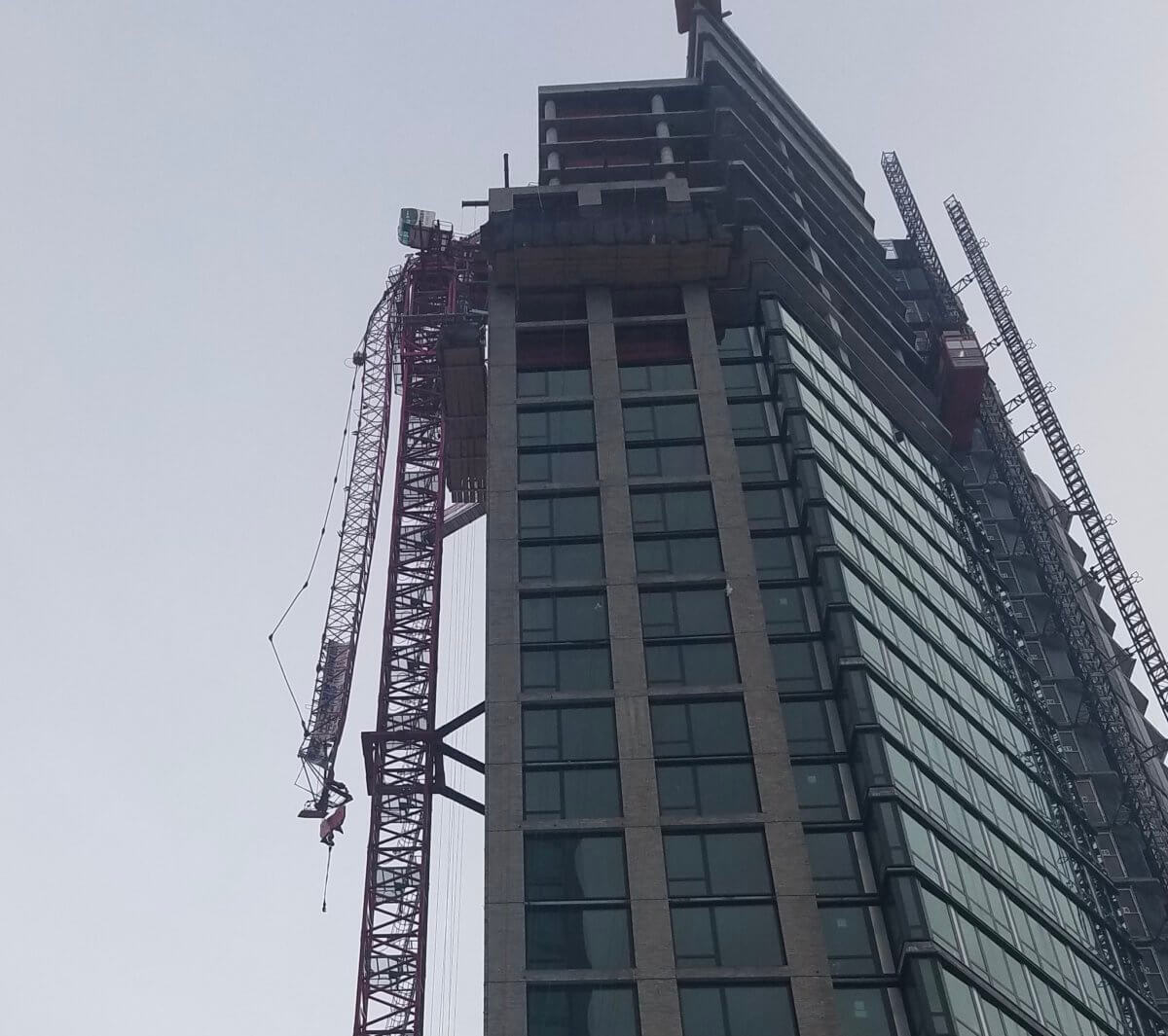 Crane new 1