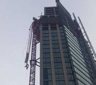 Crane new 1