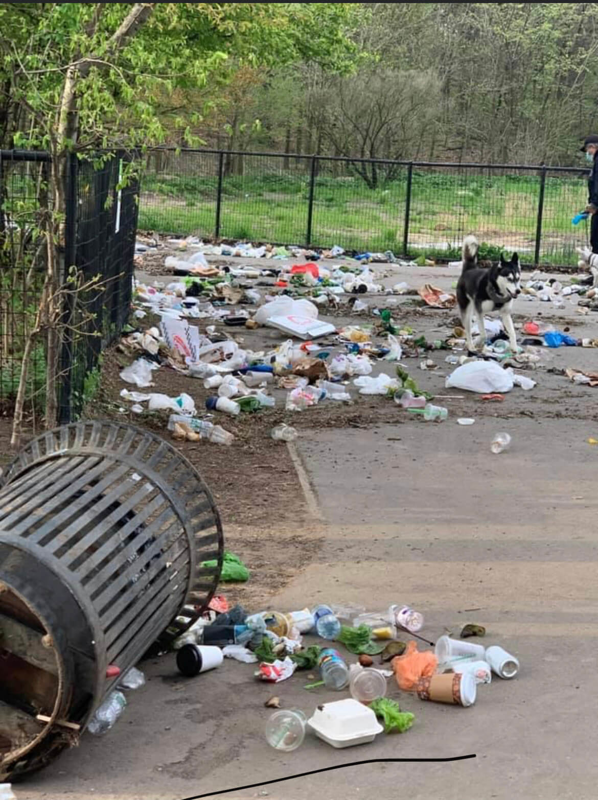 Vandal Trashes Prospect Park Overnight Brooklyn Paper