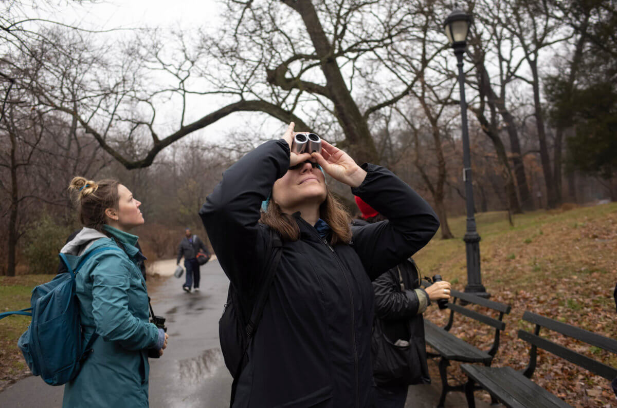 bird watching