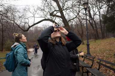 bird watching