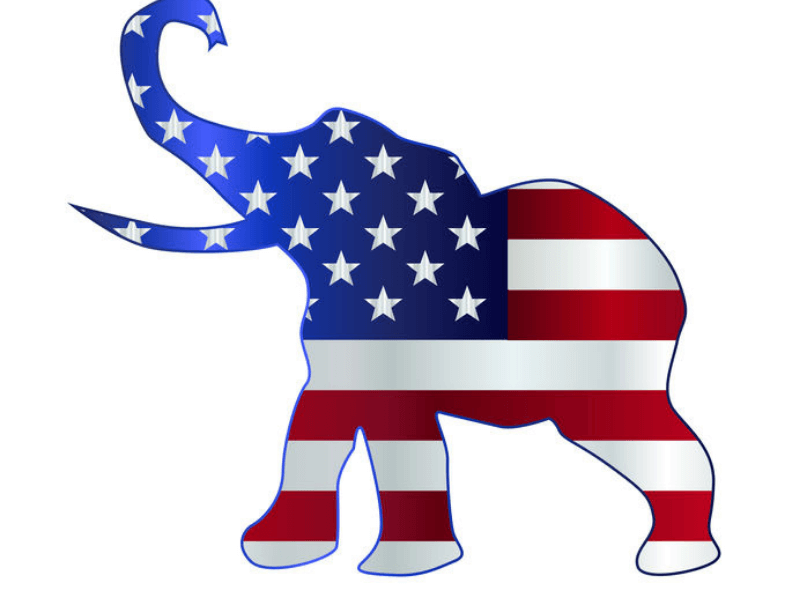 brooklyn gop