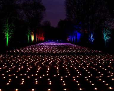 botanic garden