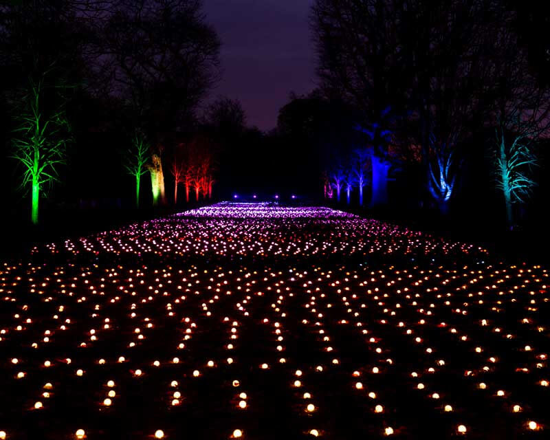 botanic garden
