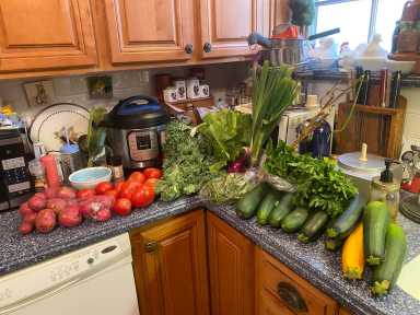 A full share – Ditmas Park CSA (1)