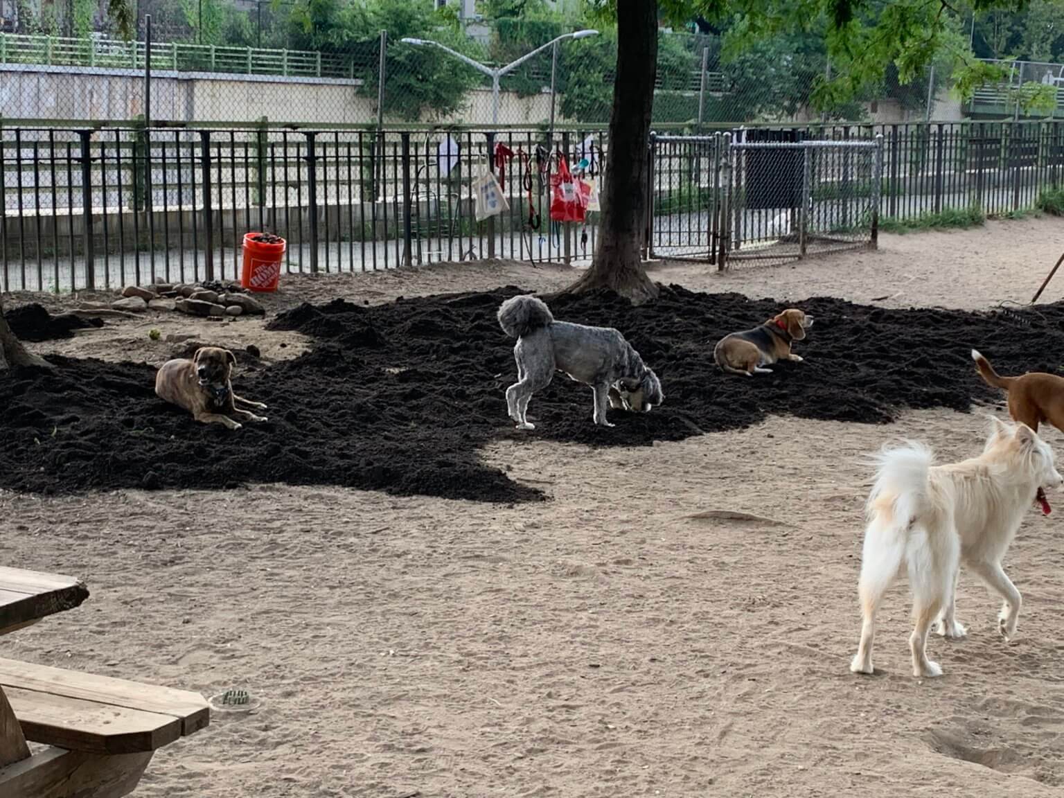 Greenwood Heights dog park gets facelift with help from local canine owners