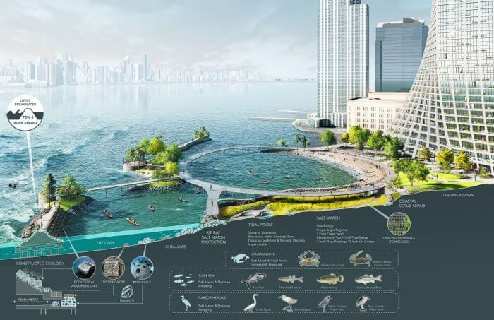 Rendering of tide pools at River Ring and habitats for marine life