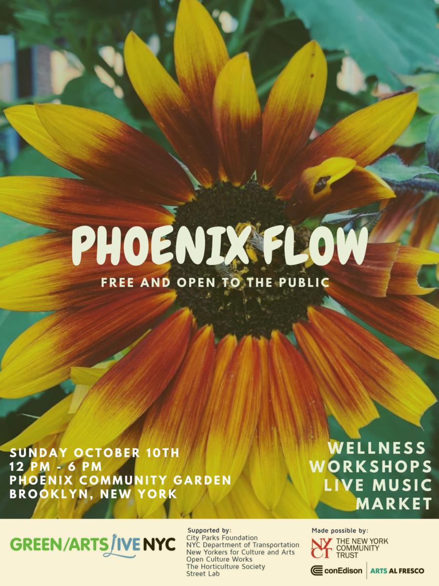 phoenix Flow