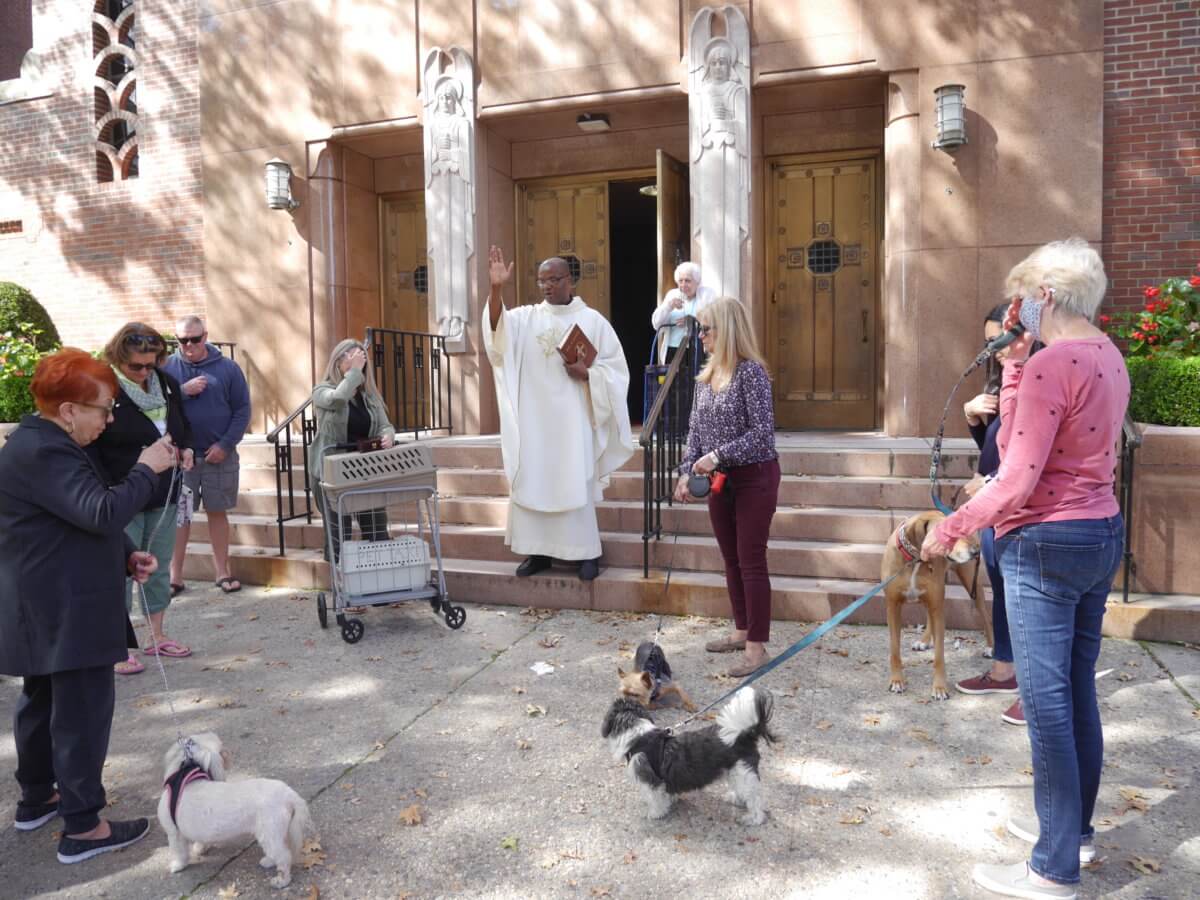 blessing of the animals 2021 nyc Screech Owl Journal Gallery Of Photos