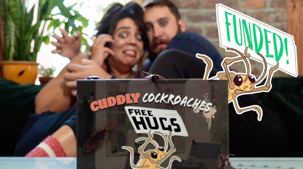 Cuddly Cockroaches