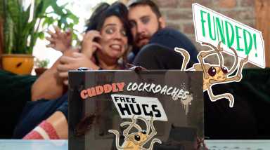 Cuddly Cockroaches