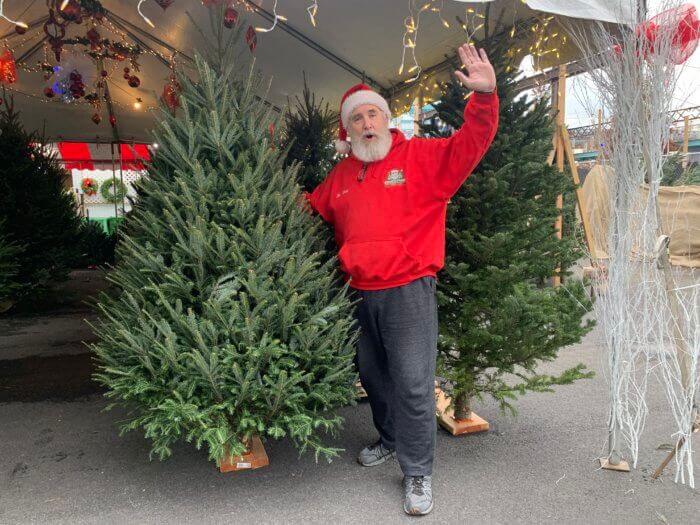 christmas trees