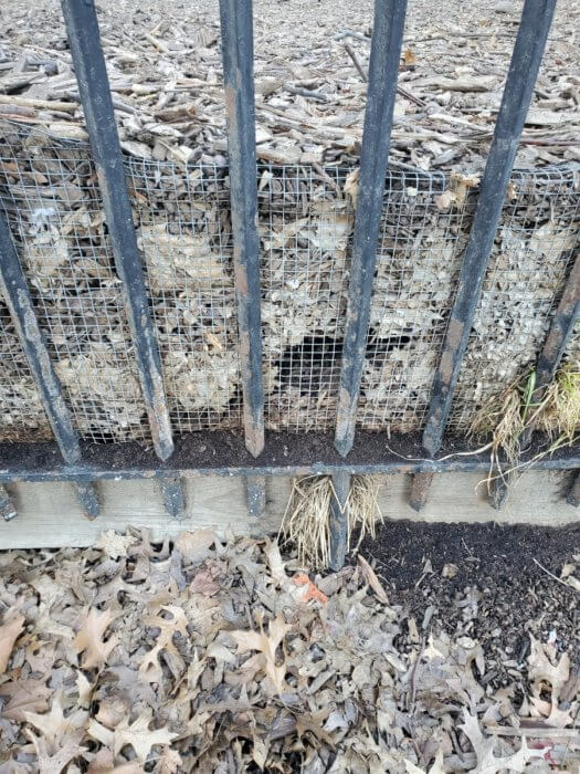 layers of mulch at mccarren park