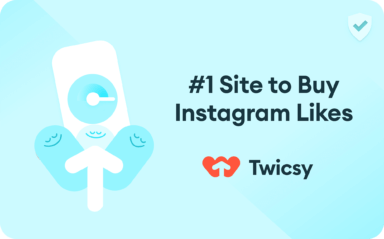 Twicsy Instagram likes