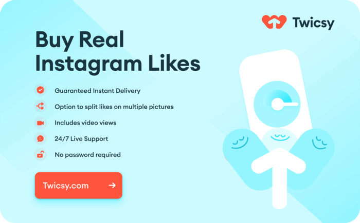 10 Best Sites To Buy Instagram Verification Services (2022)