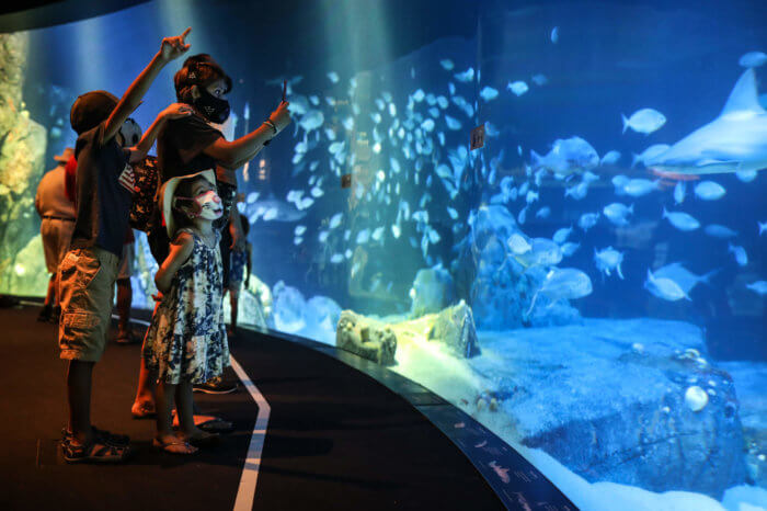 kids look at fish in tank at new york aquarium