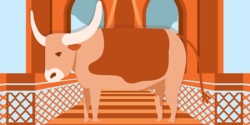 BEvo chili