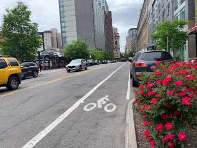 existing schermerhorn bike lane