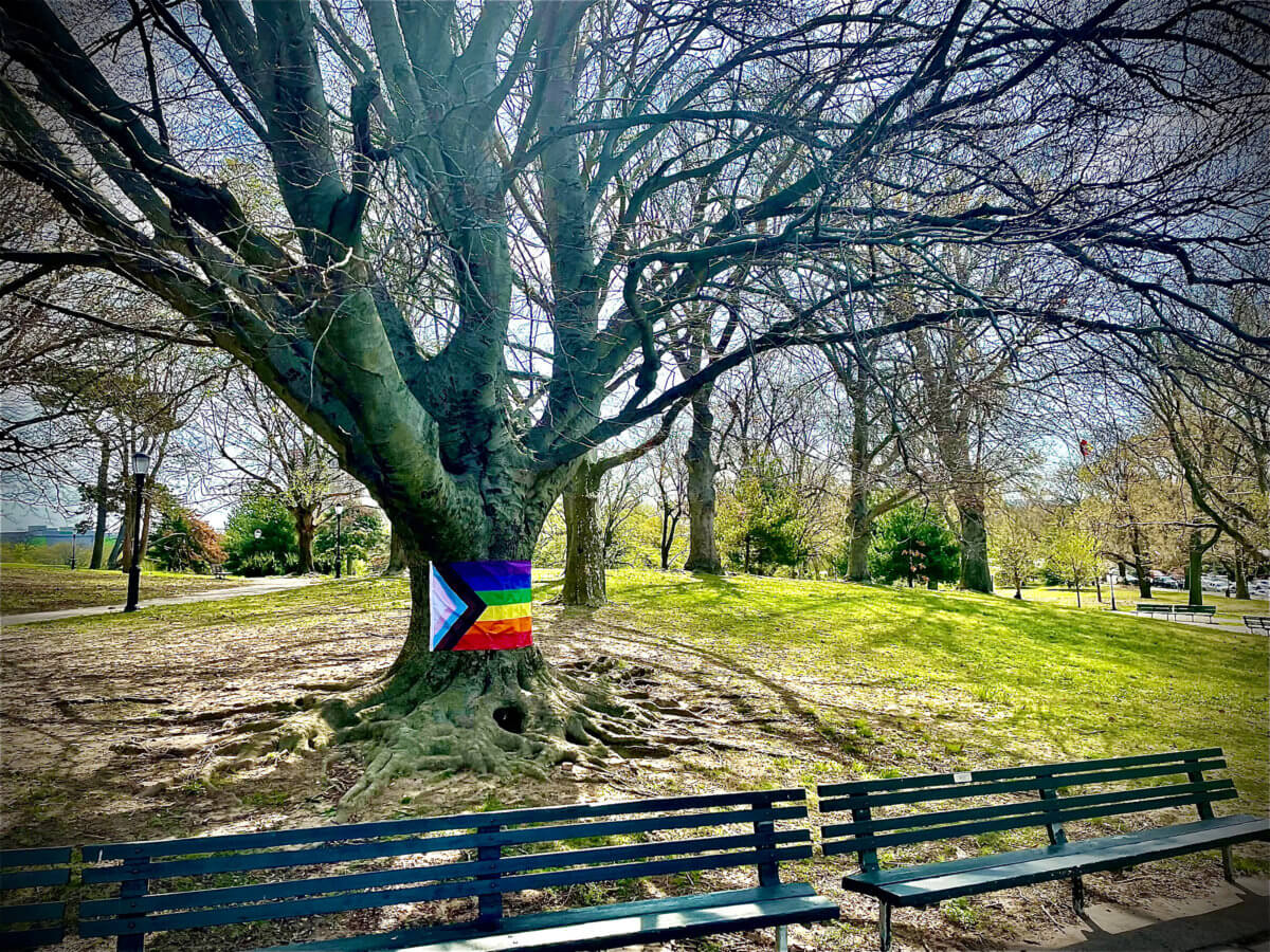 Tree of Life with Pride Flag
