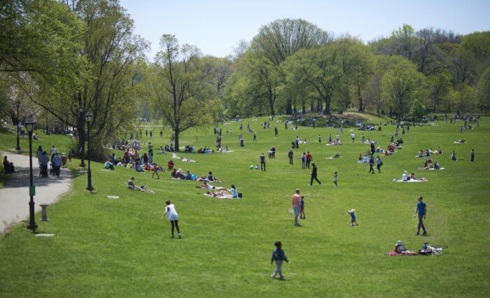 lawn at prospect park re:new