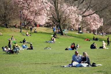 people on lawn at prospect park re:new