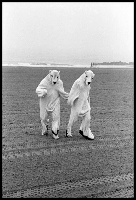 black and white photo of two people in polar bear outfits at the coney island history project exhibition