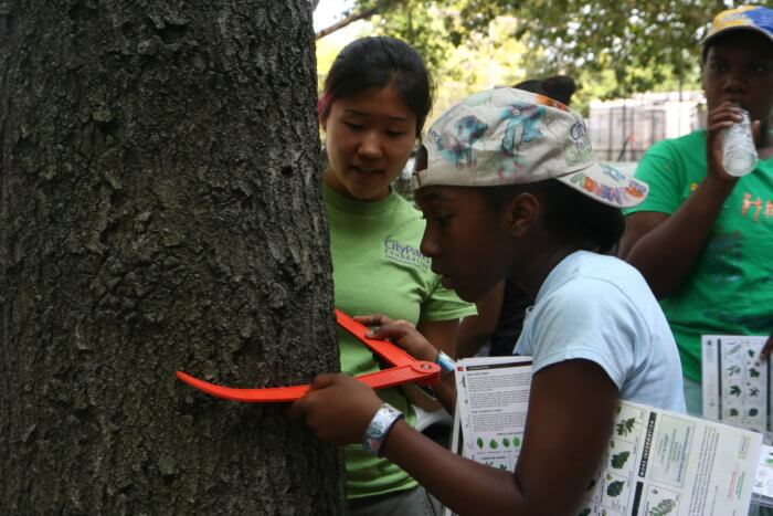 green girls measure a street tree