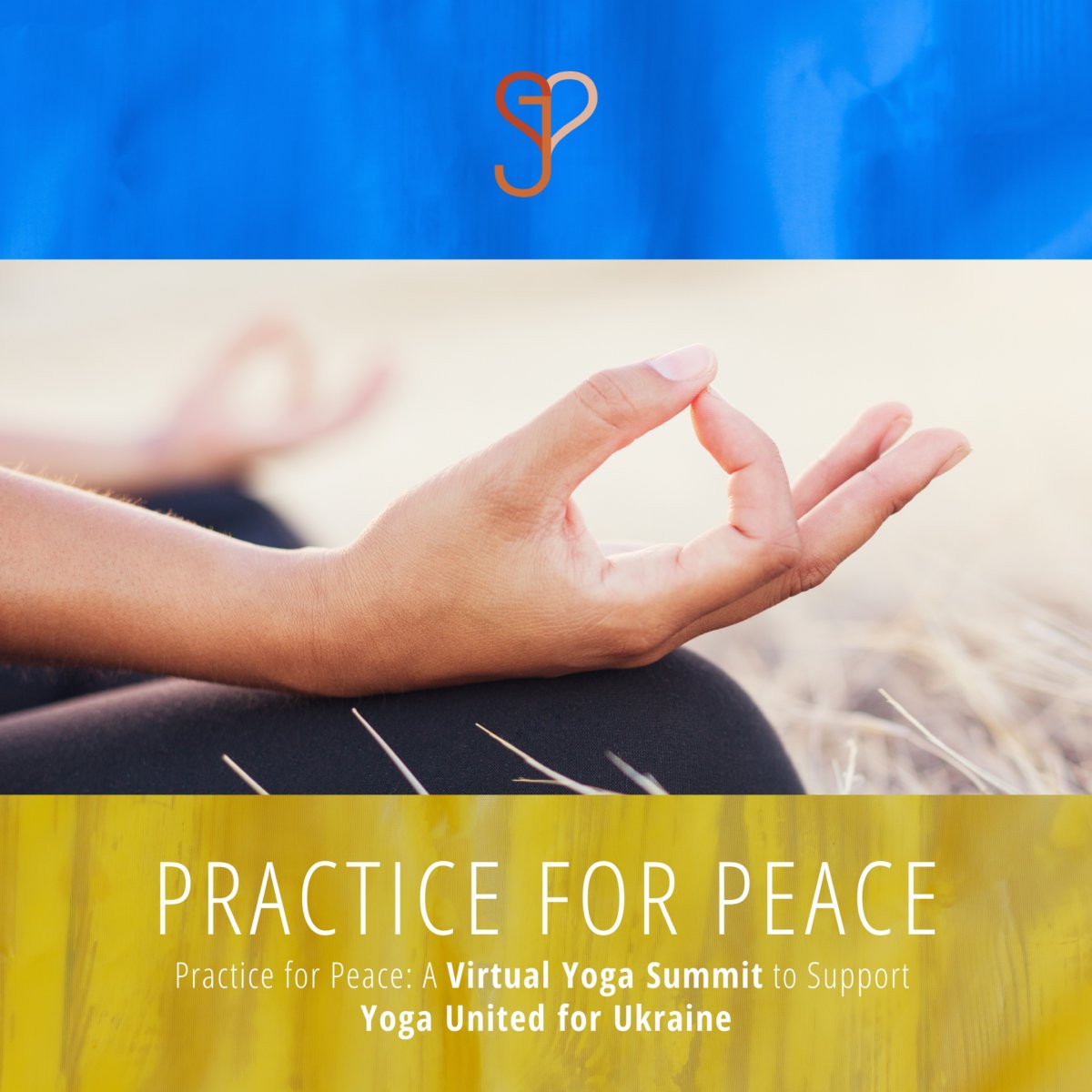 Practice for Peace | PANELISTS