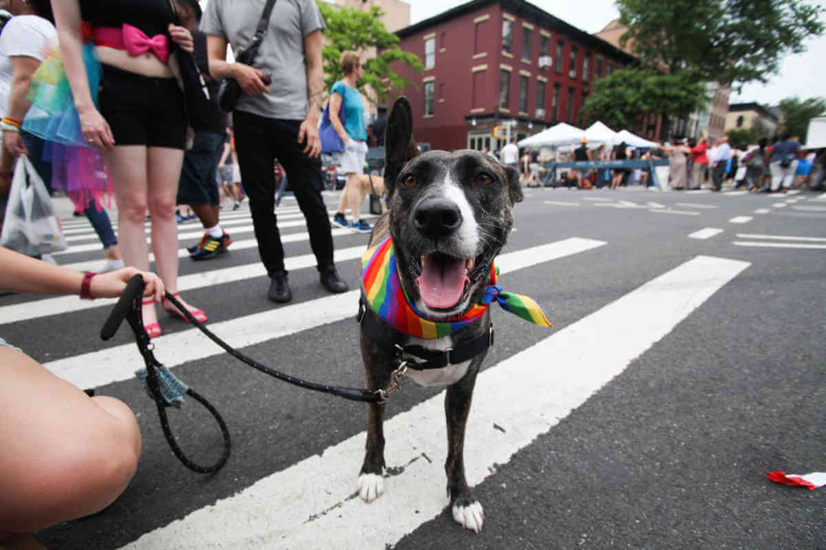 dtg-ss-park-slope-pride-parade-2018-06-15-bk02_z