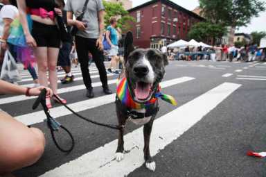 dtg-ss-park-slope-pride-parade-2018-06-15-bk02_z