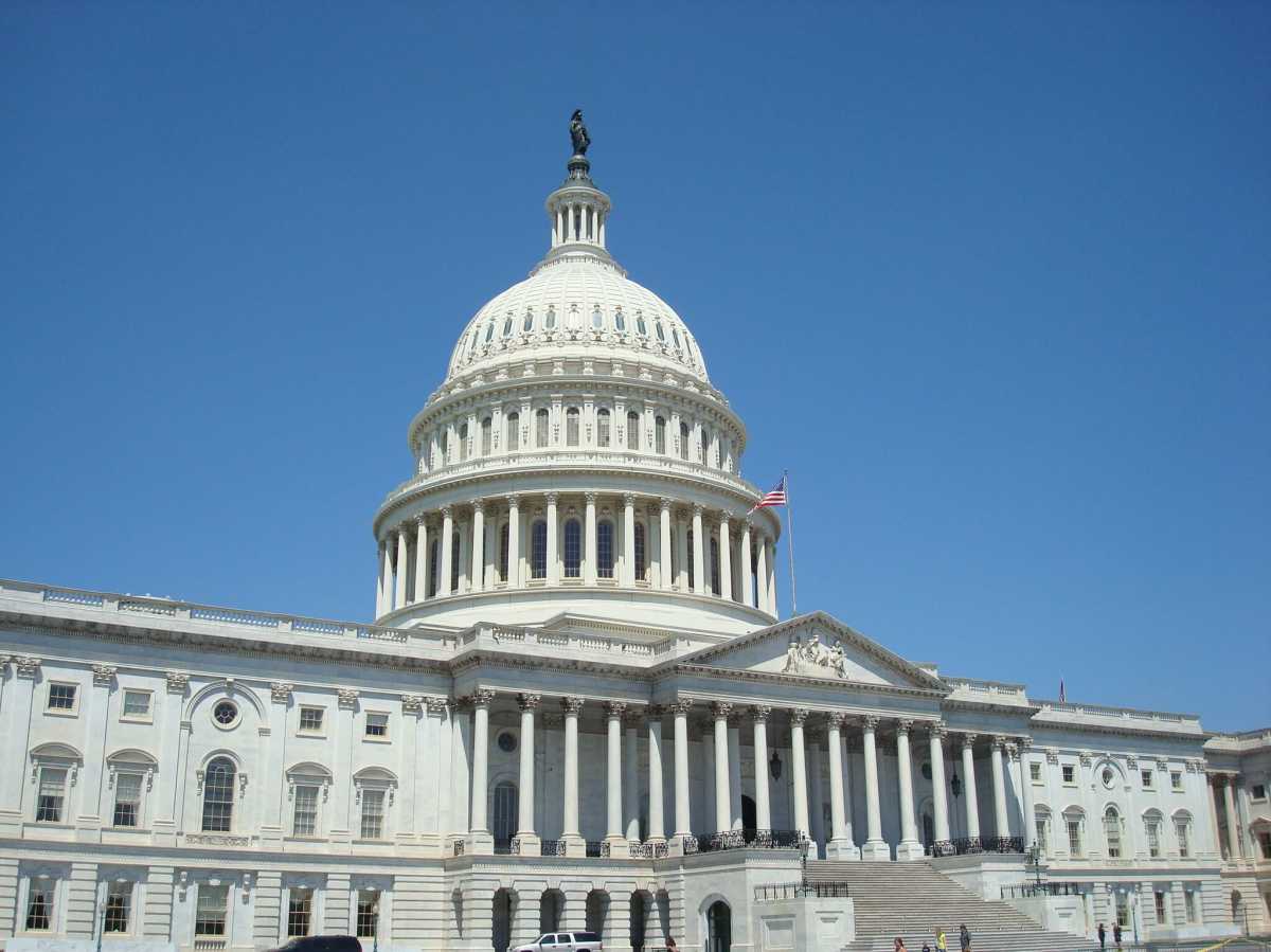 u.s. capitol building nicole malliotakis