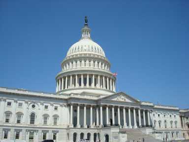 u.s. capitol building nicole malliotakis
