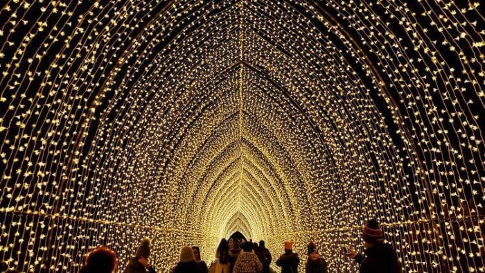 a cavern of warm string lights at the brooklyn botanic garden