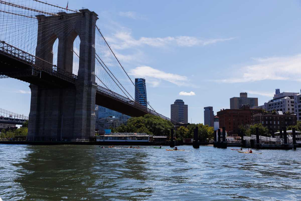 people at open water swin in east river