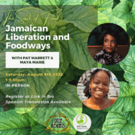Culinary collaborators celebrate Jamaican independence day with cooking workshops