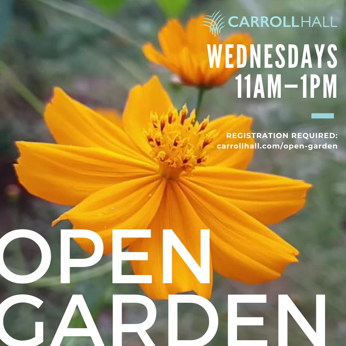 Open and Night Garden Promos (3)
