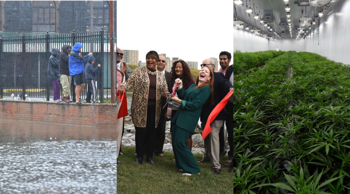 flooding, fresh creek and marijuana collage for october round-up