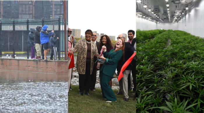 flooding, fresh creek and marijuana collage for october round-up