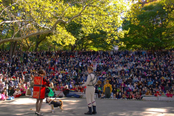 People watching dog parade in halloween