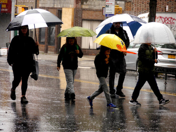 people walk with umbrellas at third avenue festival