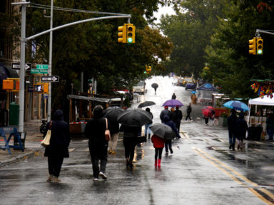 people in street at third avenue festival