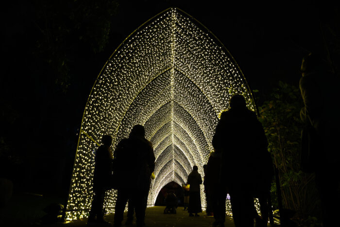 winter cathedral light tunnel