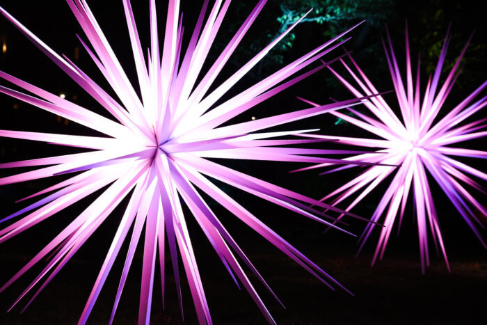 windseeds at lightscape