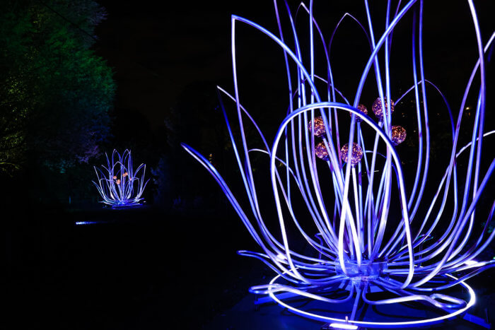 big light up flower at brooklyn botanic garden